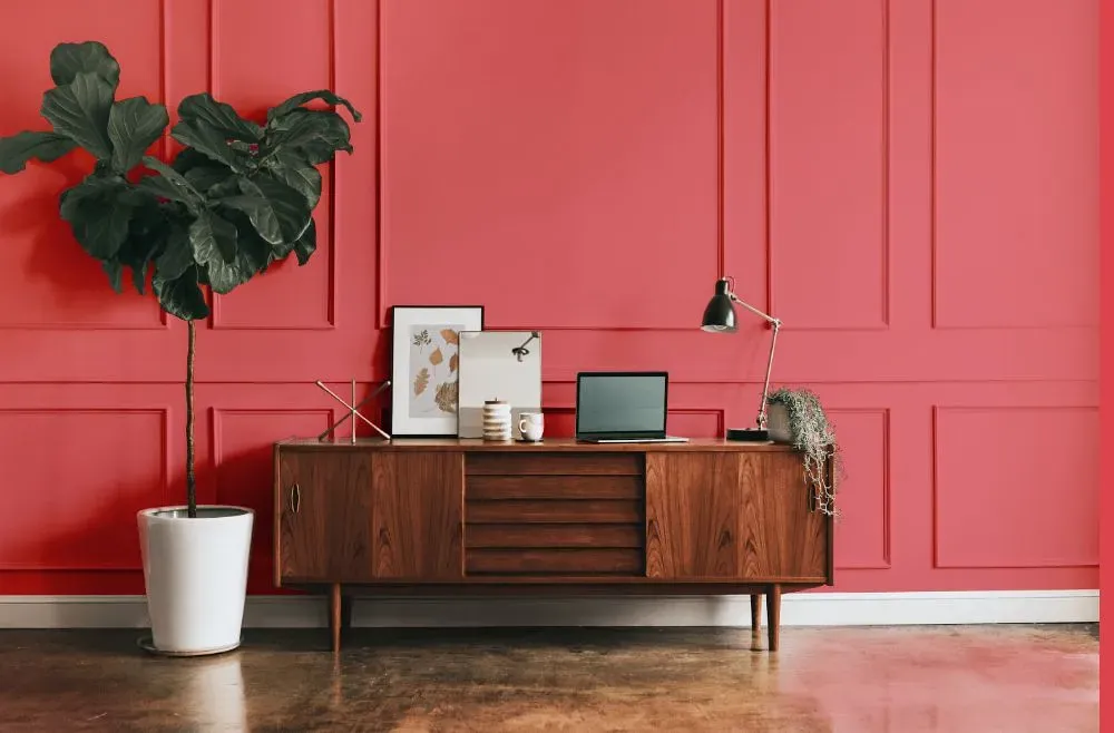 Benjamin Moore Florida Pink modern interior