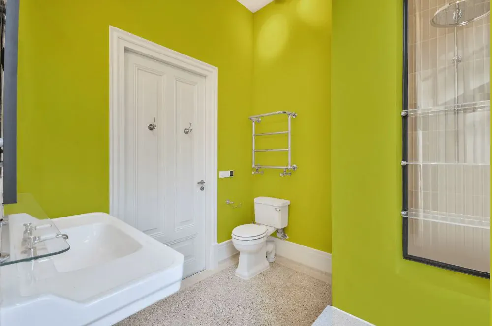 Benjamin Moore Flower Power bathroom