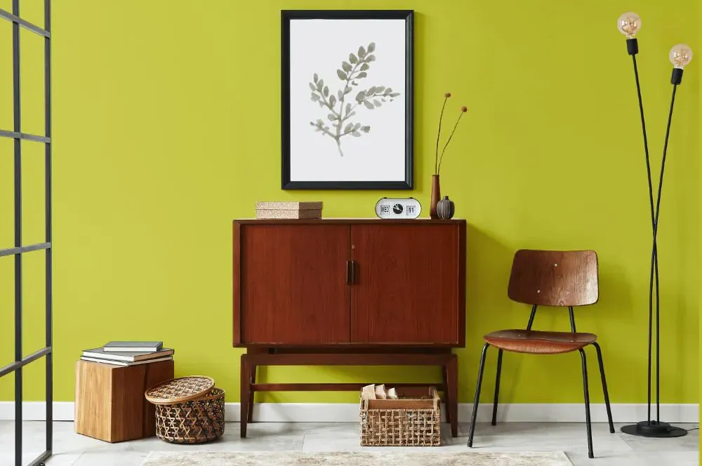 Benjamin Moore Flower Power japandi interior