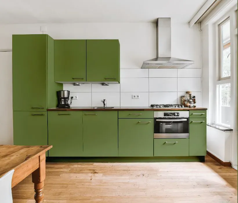 Benjamin Moore Forest Hills Green kitchen cabinets