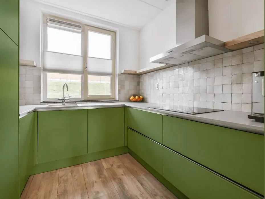 Benjamin Moore Forest Hills Green small kitchen cabinets