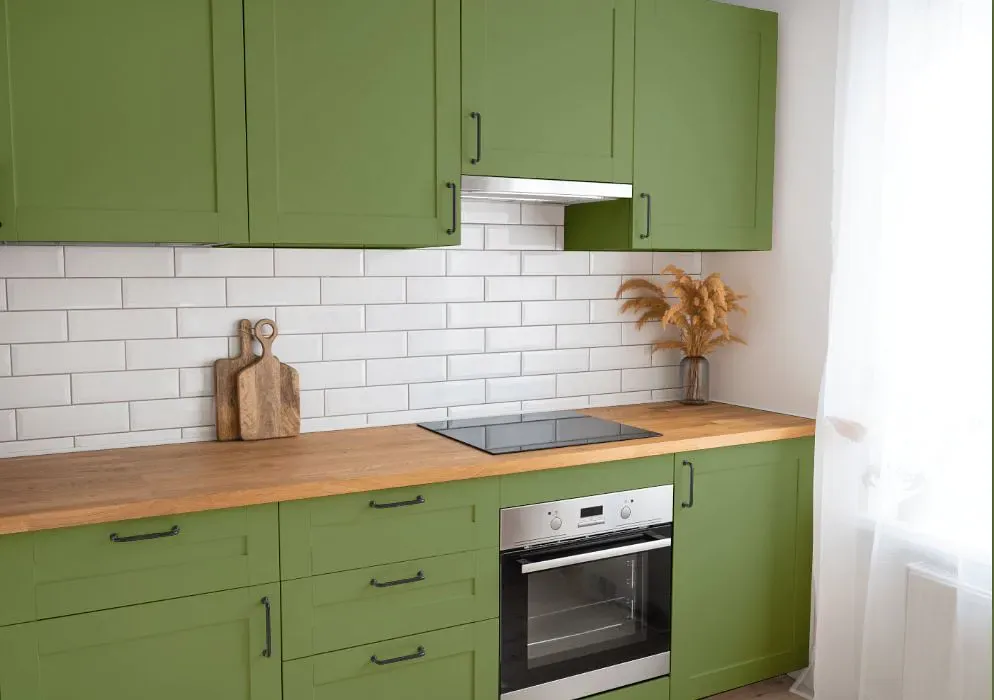 Benjamin Moore Forest Hills Green kitchen cabinets