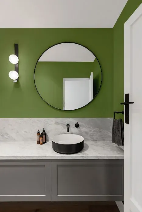 Benjamin Moore Forest Hills Green minimalist bathroom