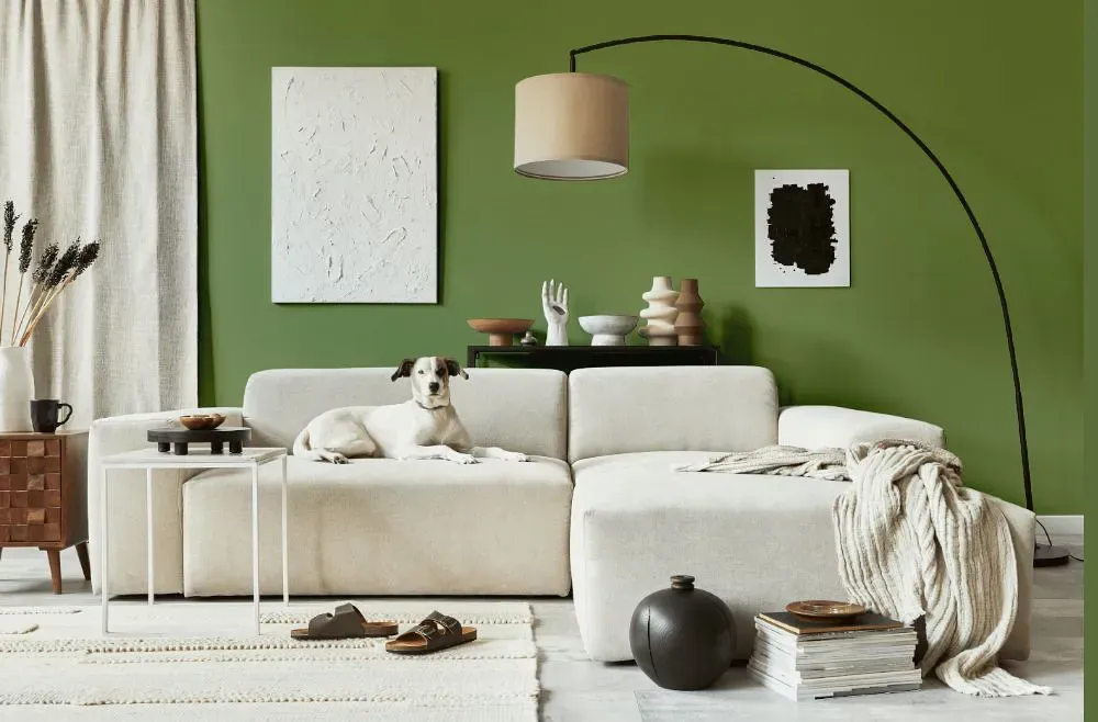 Benjamin Moore Forest Hills Green cozy living room