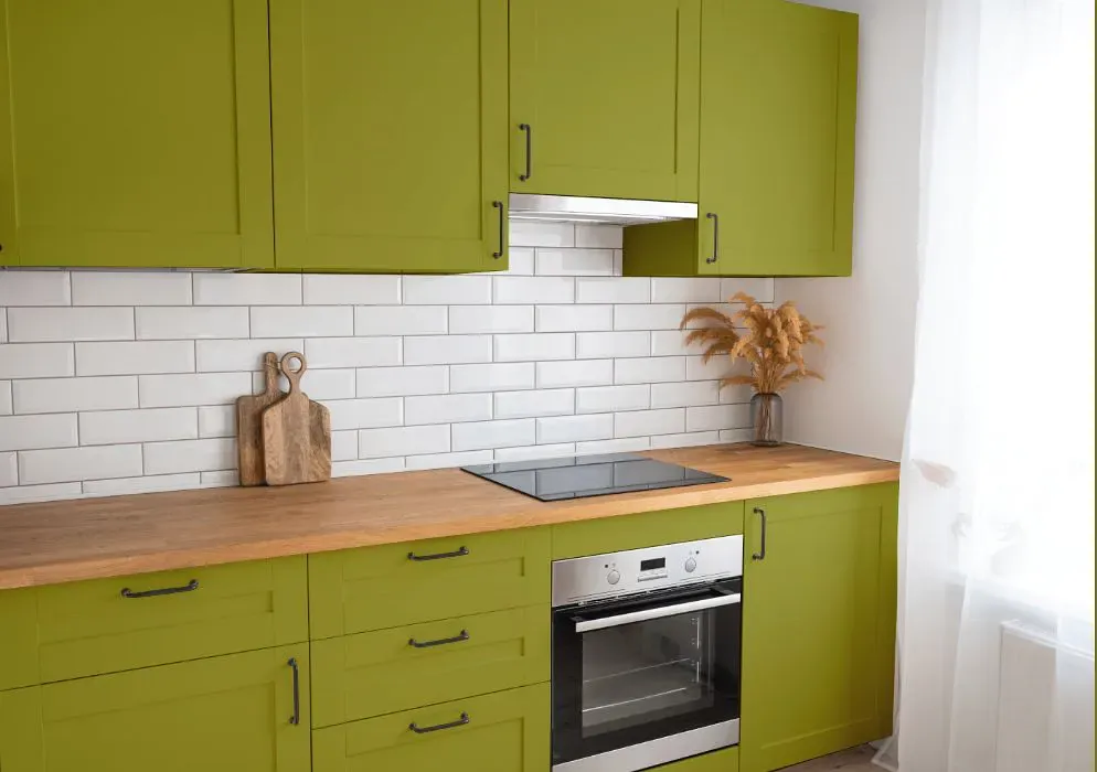 Benjamin Moore Forest Moss kitchen cabinets