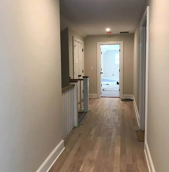 Benjamin Moore Fossil hallway review