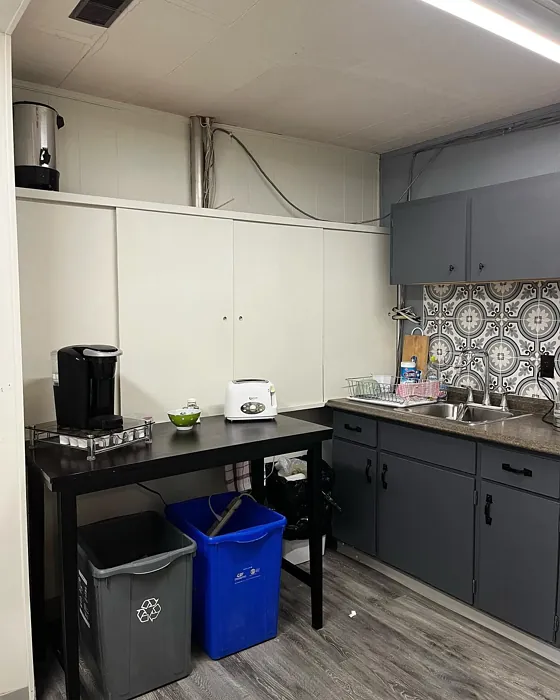 Benjamin Moore French Canvas wall paint 