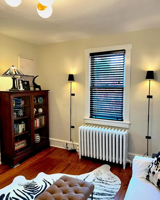 Benjamin Moore French Canvas living room color