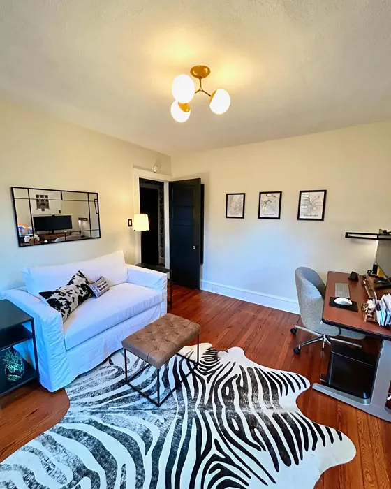 French Canvas living room review