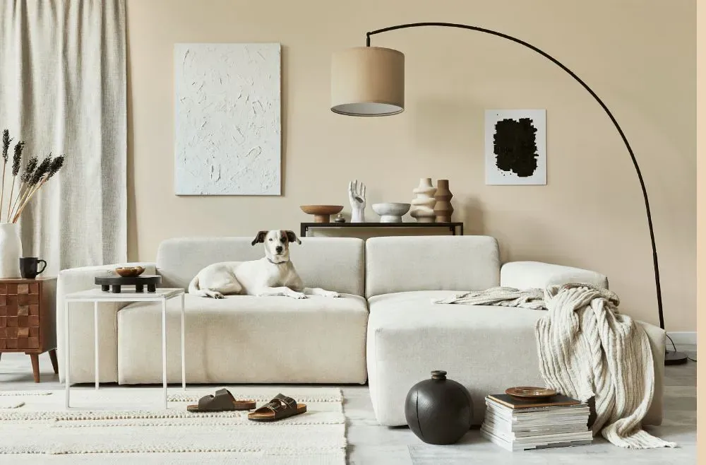 Benjamin Moore French Manicure cozy living room