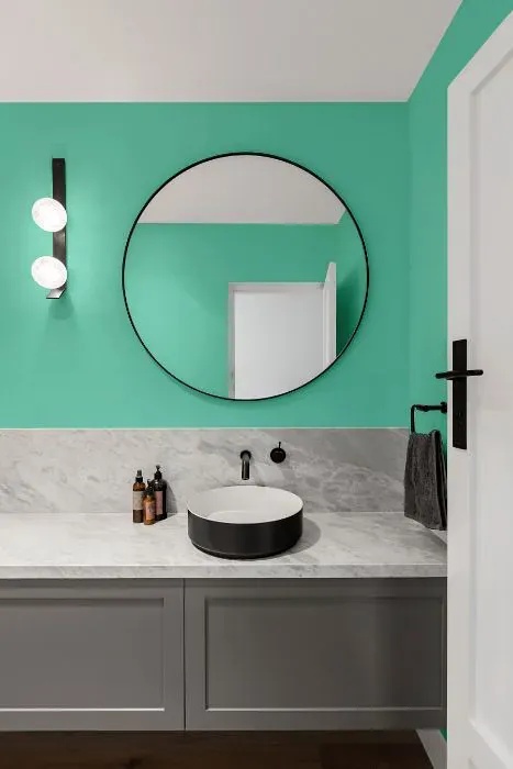 Benjamin Moore Fresh Green minimalist bathroom