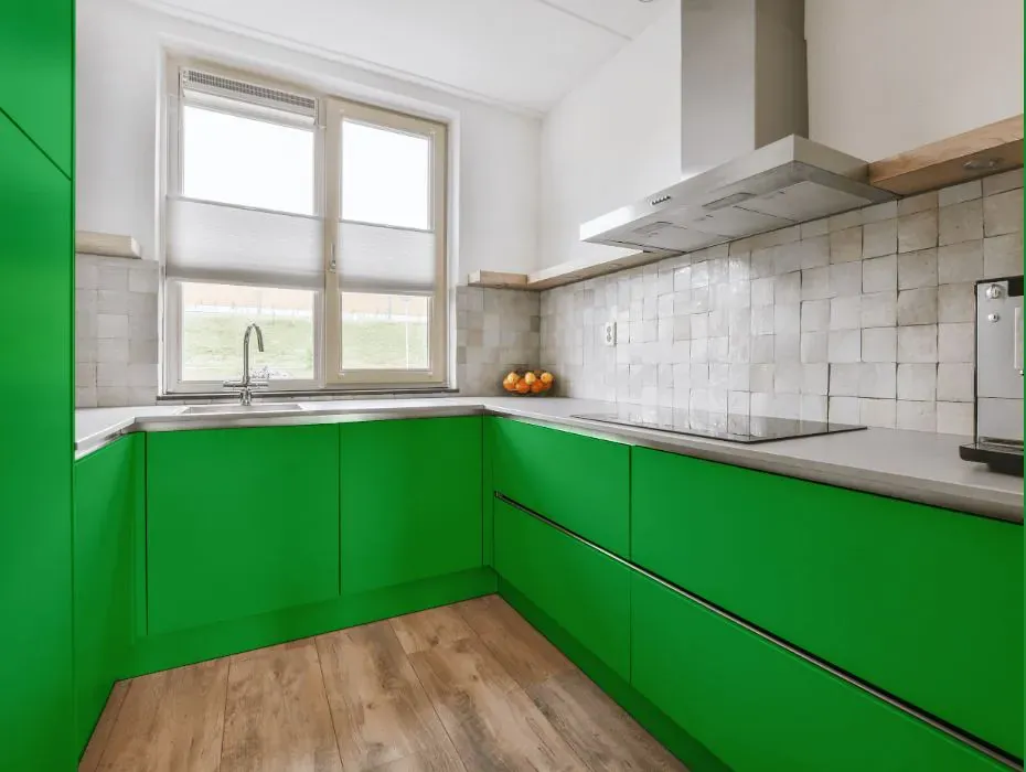 Benjamin Moore Fresh Scent Green small kitchen cabinets