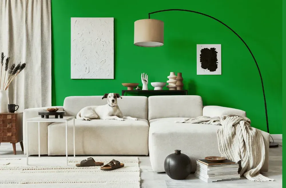 Benjamin Moore Fresh Scent Green cozy living room