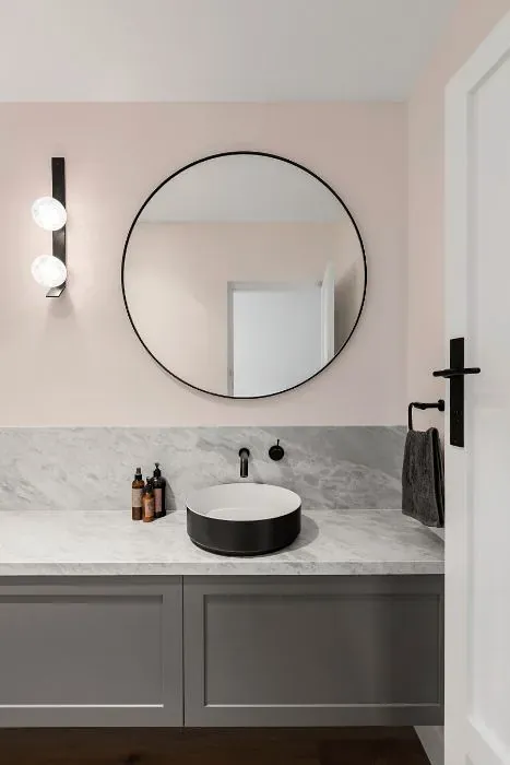 Benjamin Moore Frosted Petal minimalist bathroom