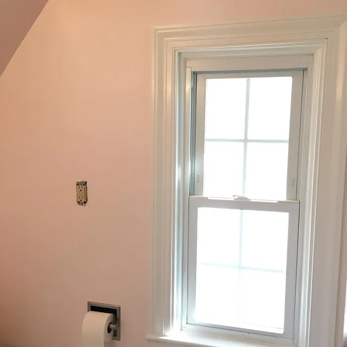 Benjamin Moore Frosted Petal wall paint 