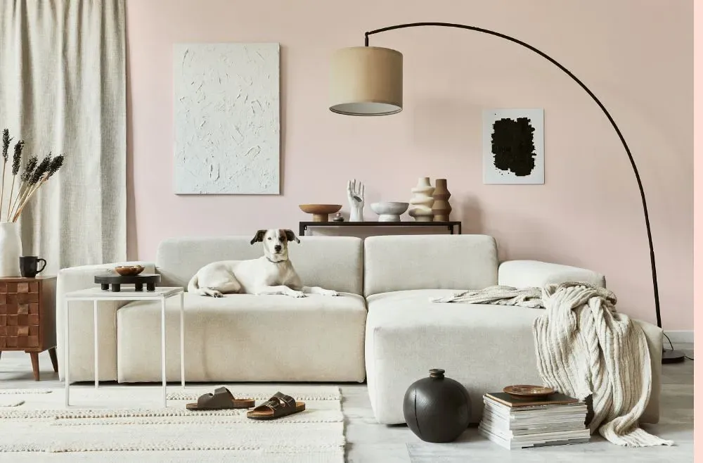 Benjamin Moore Frosty Pink cozy living room