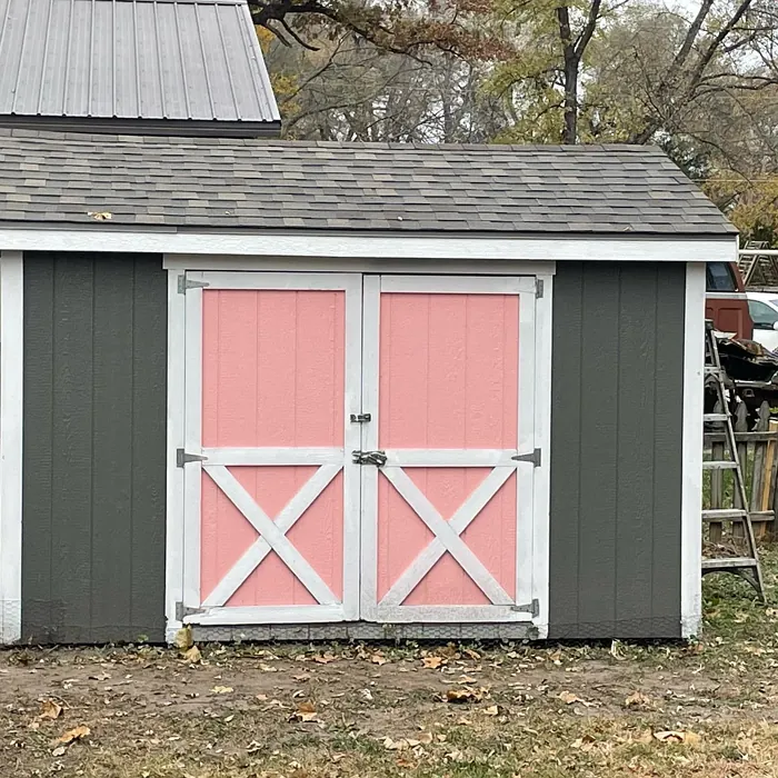 Benjamin Moore Fruit Shake exterior paint