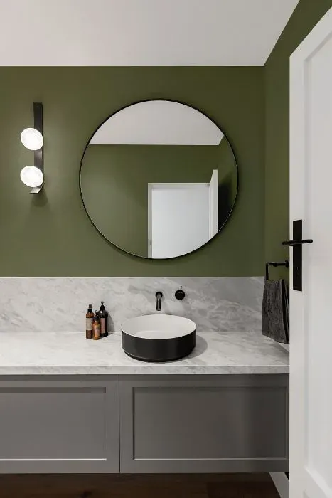 Benjamin Moore Galápagos Green minimalist bathroom