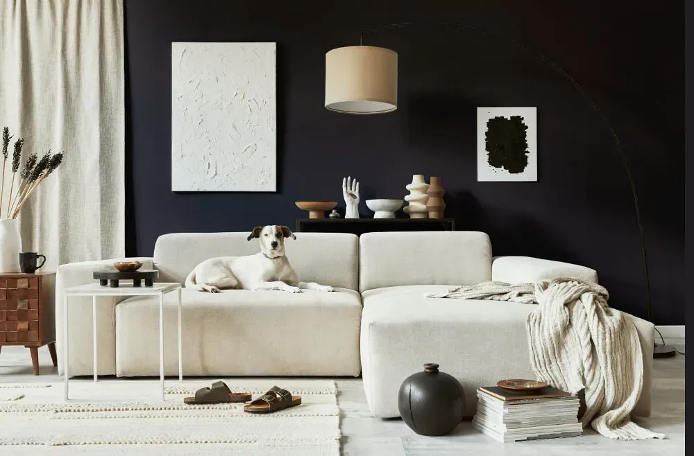 Benjamin Moore Galaxy cozy living room