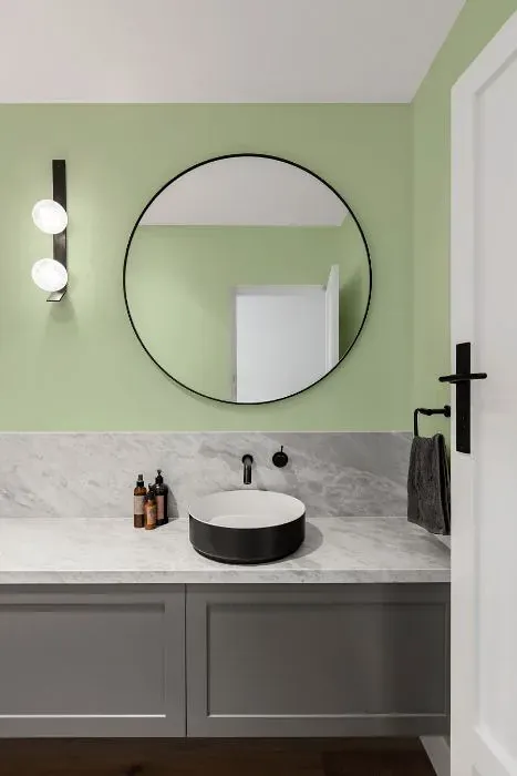Benjamin Moore Garland Green minimalist bathroom