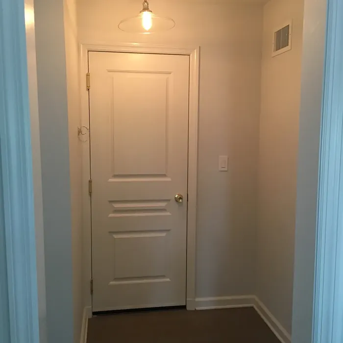 Benjamin Moore Genesis White hallway review