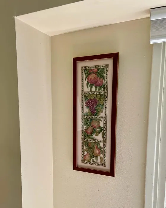 Benjamin Moore OC-96 wall paint 