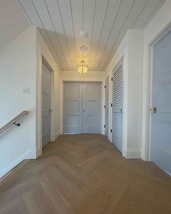 Benjamin Moore Gentle Gray door color