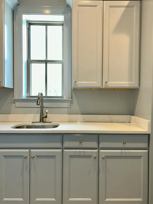 Benjamin Moore Gentle Gray painted cabinets 