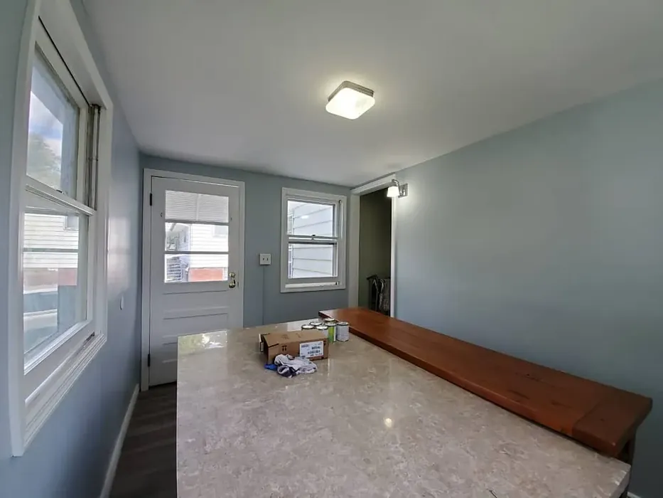 Gentle Gray wall paint review