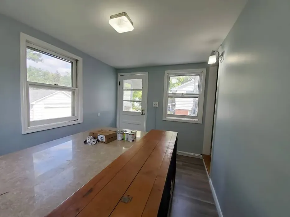 Gentle Gray wall paint color review