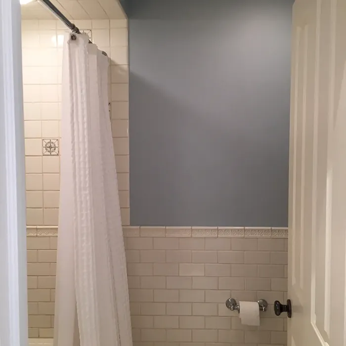 Benjamin Moore Gentle Gray bathroom color review