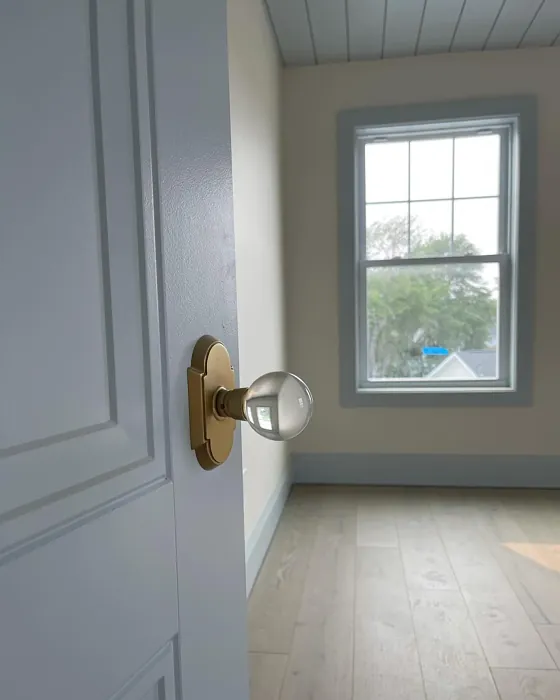 Benjamin Moore Gentle Gray door color review