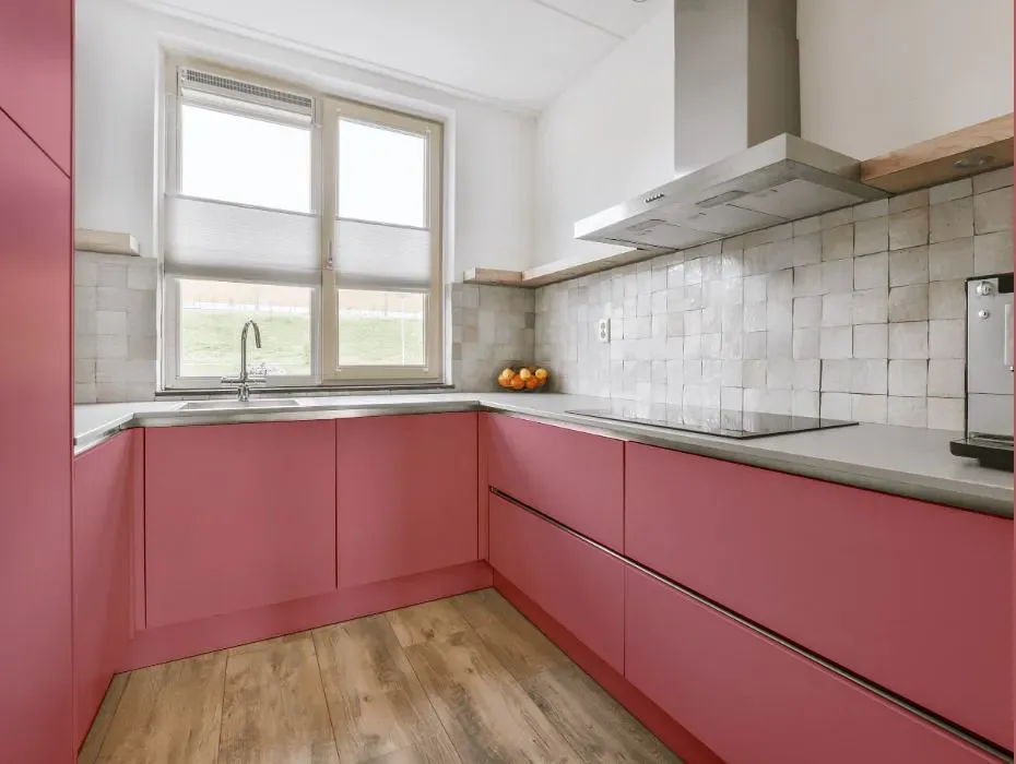 Benjamin Moore Genuine Pink small kitchen cabinets
