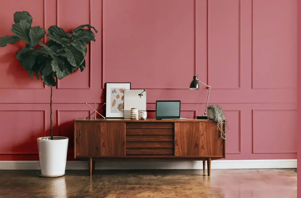 Benjamin Moore Genuine Pink modern interior