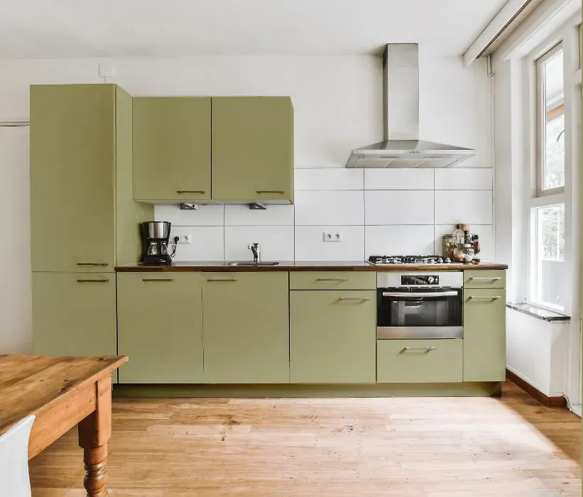 Benjamin Moore Georgian Green kitchen cabinets