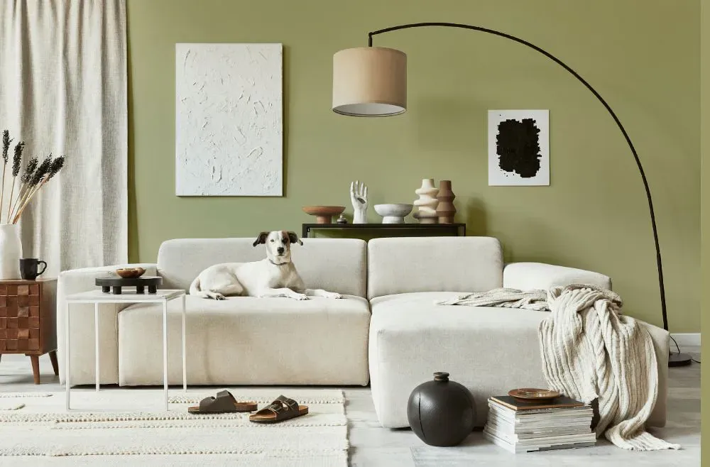 Benjamin Moore Georgian Green cozy living room