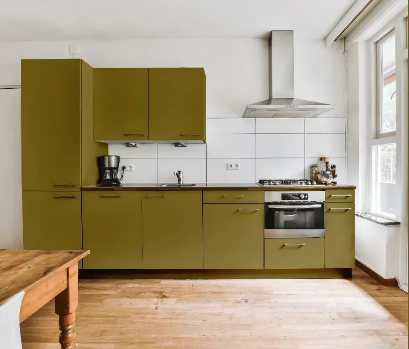Benjamin Moore G.I. Green kitchen cabinets
