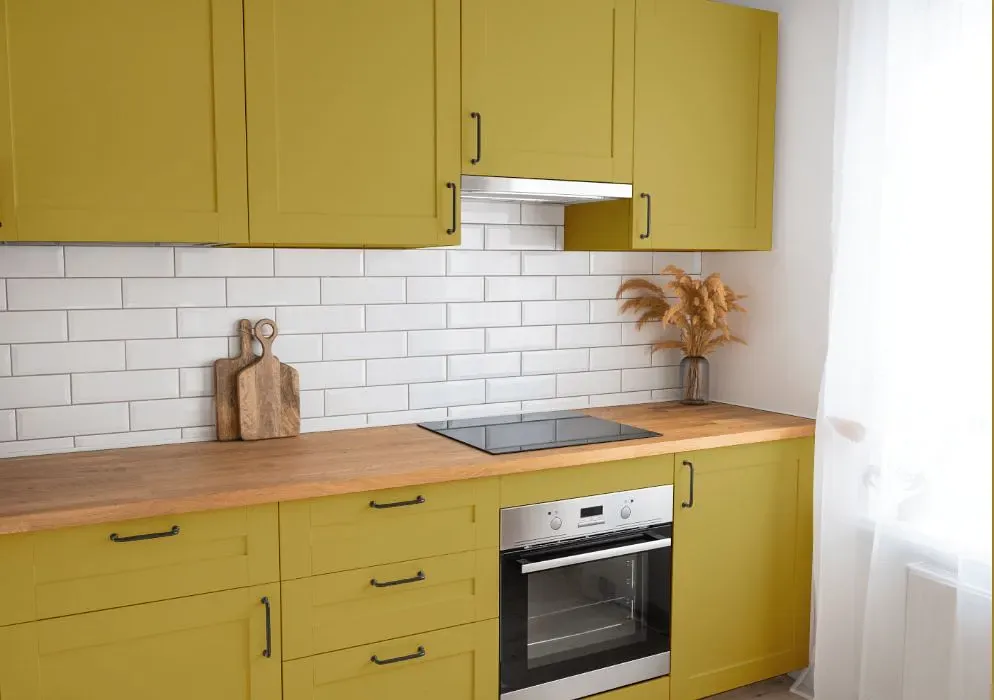 Benjamin Moore Gibson Gold kitchen cabinets