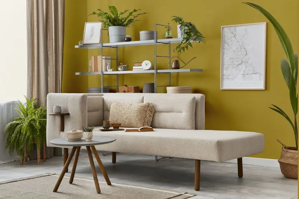 Benjamin Moore Gibson Gold living room