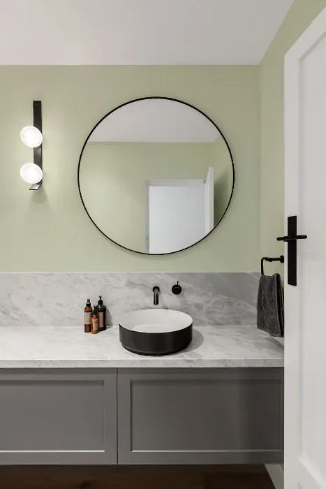 Benjamin Moore Glade Green minimalist bathroom