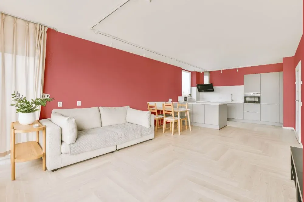 Benjamin Moore Glamour Pink living room interior