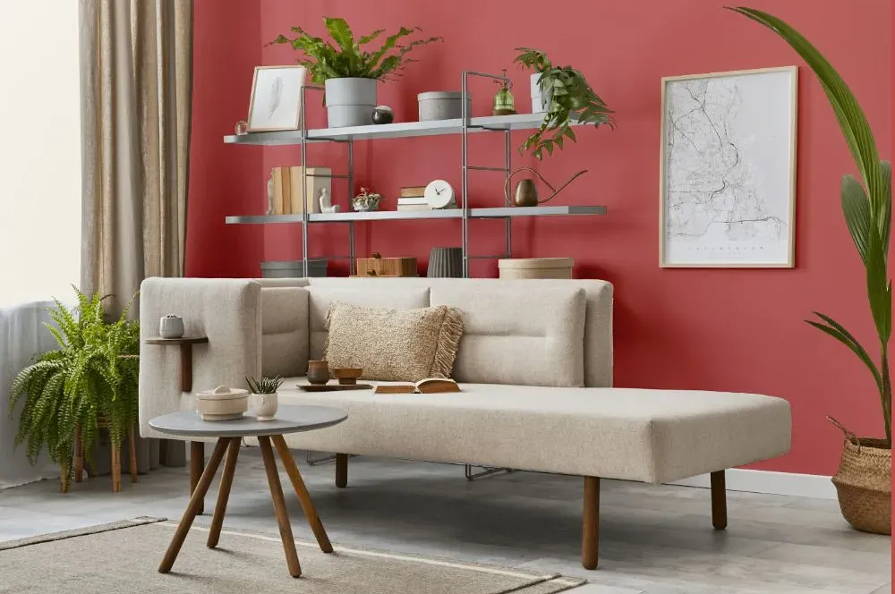 Benjamin Moore Glamour Pink living room