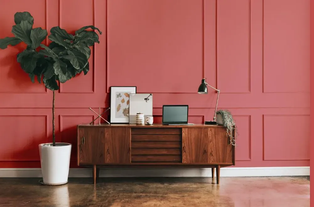 Benjamin Moore Glamour Pink modern interior