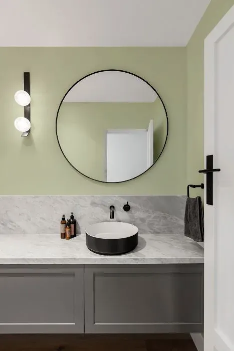 Benjamin Moore Glazed Green minimalist bathroom