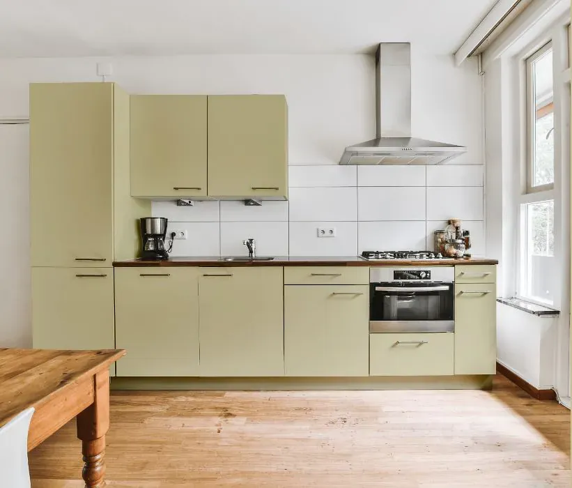 Benjamin Moore Gloucester Green kitchen cabinets