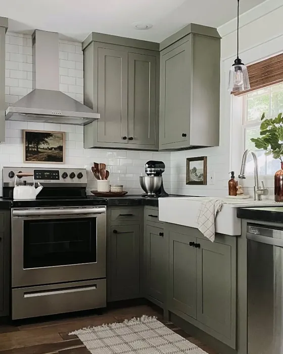 Benjamin Moore Gloucester Sage kitchen cabinets review