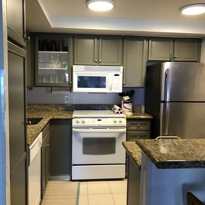 Benjamin Moore Gloucester Sage kitchen cabinets paint review