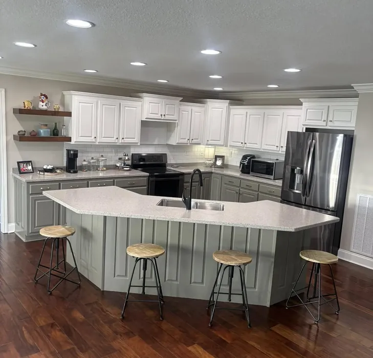 Benjamin Moore HC-100 kitchen cabinets review