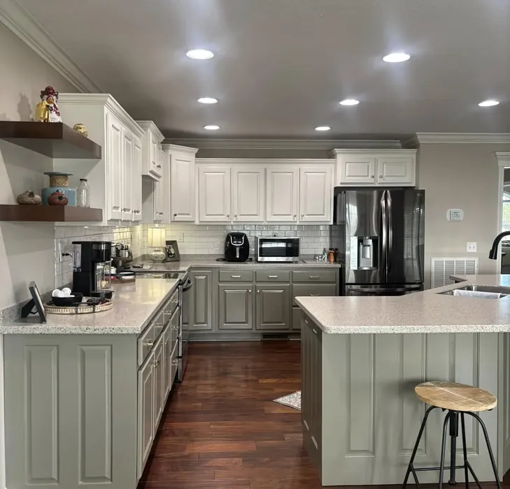 Benjamin Moore HC-100 kitchen cabinets 