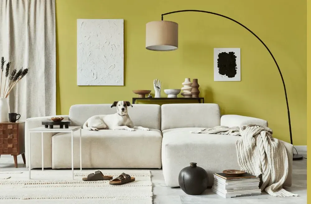 Benjamin Moore Golden Delicious cozy living room
